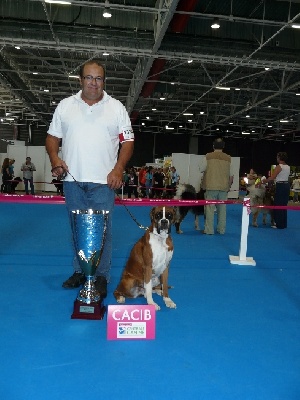 le Mas de Loriol - Fiona CACS et CACIB championnat de France Metz